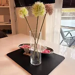 Apartamento Waldzeit - Ebenerdig - Rodelbahn Und Piste Fusslaeufig Braunlage