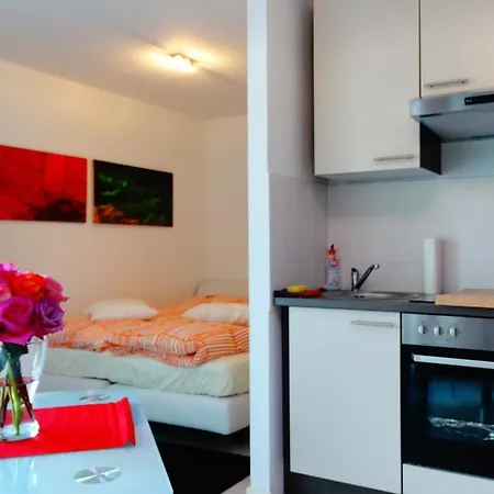 Apartamento Ferienwohnung Braunlage Braunlage